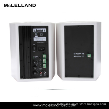 Active Hanging Speaker (Attaching Amplifier)